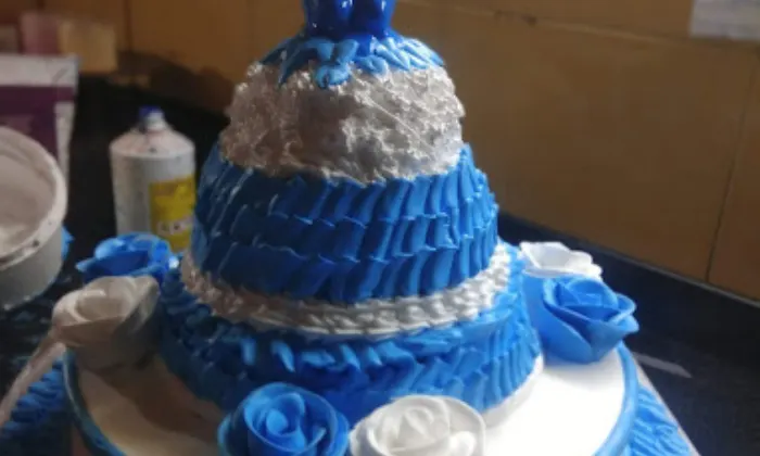 Sonalis The Cake  Bake Shop